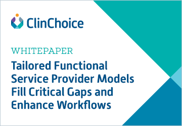 tailored functional service provider models fill critical gaps and enhance workflows