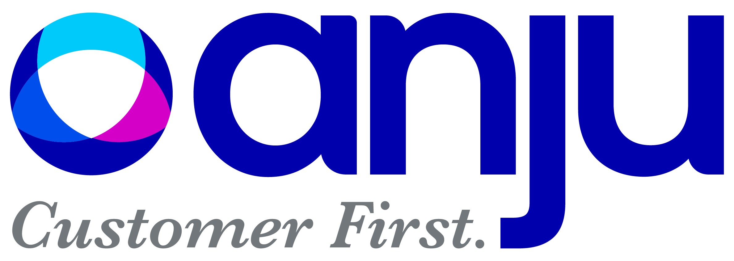 anju customer first logo